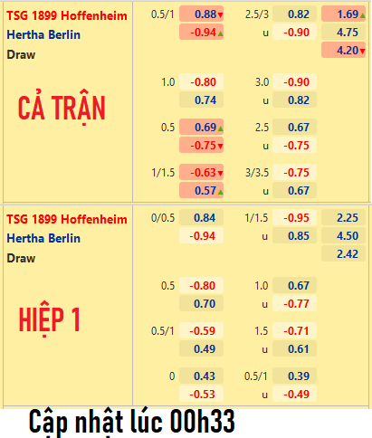 CHỐT KÈO trực tiếp trận Hoffenheim vs Hertha Berlin