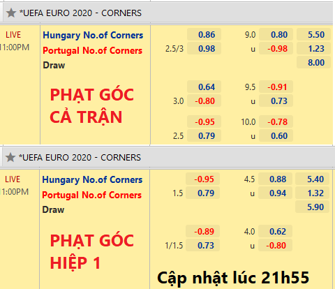 Hungary-vs-Bo-Dao-Nha