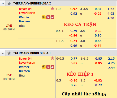 Leverkusen-vs-Bremen