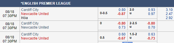 Nhận định bóng đá Cardiff vs Newcastle, 18h30 ngày 18/08: Ngoại hạng Anh