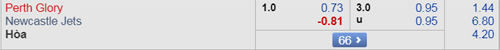 Nhận định Perth Glory vs Newcastle Jets, 16h00 ngày 14/4