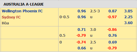 Wellington-vs-SydneyFC