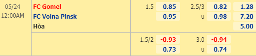 Nhận định bóng đá trận FC Gomel vs Volna Pinsk trong khuôn khổ vòng 6 giải Hạng 2 Belarus