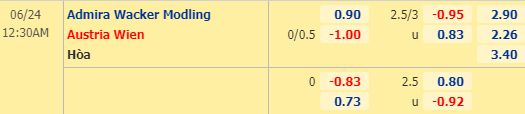 Nhận định bóng đá trận Admira Wacker vs Austria Wien trong khuôn khổ vòng 29 giải VĐQG Áo