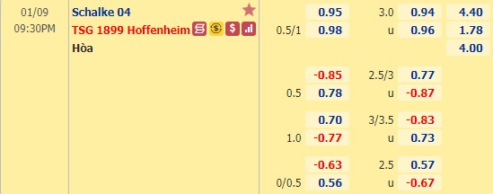 Nhận định bóng đá Schalke vs Hoffenheim, 21h30 ngày 9/1: VĐQG Đức