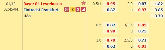 Nhận định bóng đá Leverkusen vs Eintracht Frankfurt, 02h45 ngày 13/1: Cúp quốc gia Đức