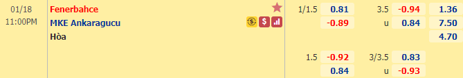 Nhận định bóng đá Fenerbahce vs Ankaragucu, 23h00 ngày 18/1: VĐQG Thổ Nhĩ Kỳ