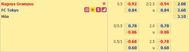 Nhận định bóng đá Nagoya Grampus vs FC Tokyo