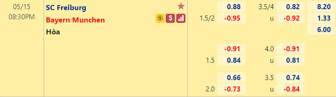 Nhận định bóng đá Freiburg vs Bayern Munich, 20h30 ngày 15/5: VĐQG Đức