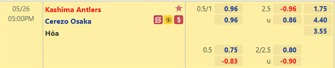 Nhận định bóng đá Kashima Antlers vs Cerezo Osaka, 17h00 ngày 26/5: VĐQG Nhật Bản