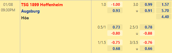 Nhận định bóng đá Hoffenheim vs Augsburg, 21h30 ngày 08/01: VĐQG Đức