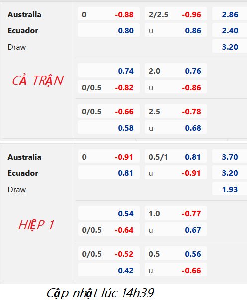 Chốt kèo bóng đá trực tiếp trận Australia vs Ecuador, 15h30 ngày 28/3: Giao hữu