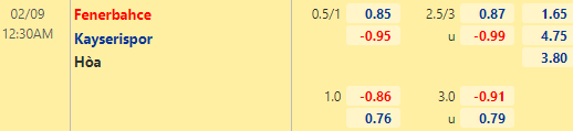 Nhận định bóng đá Fenerbahce vs Kayserispor, 00h30 ngày 09/02: Cúp QG Thổ Nhĩ Kỳ