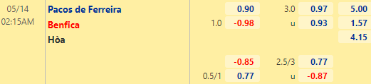Nhận định bóng đá Pacos Ferreira vs Benfica, 02h15 ngày 14/05: VĐQG Bồ Đào Nha