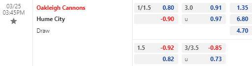 Nhận định bóng đá Oakleigh Cannons vs Hume City, 15h45 ngày 25/03: VĐ Bang Victoria - Úc