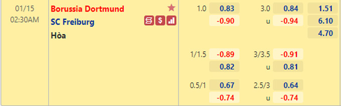 Nhận định bóng đá Dortmund vs Freiburg, 02h30 ngày 15/1: VĐQG Đức